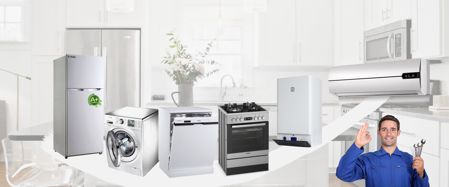 Aydın Grundig Servisi